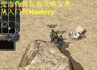 变态传奇私服攻略宝典：从入门到Mastery